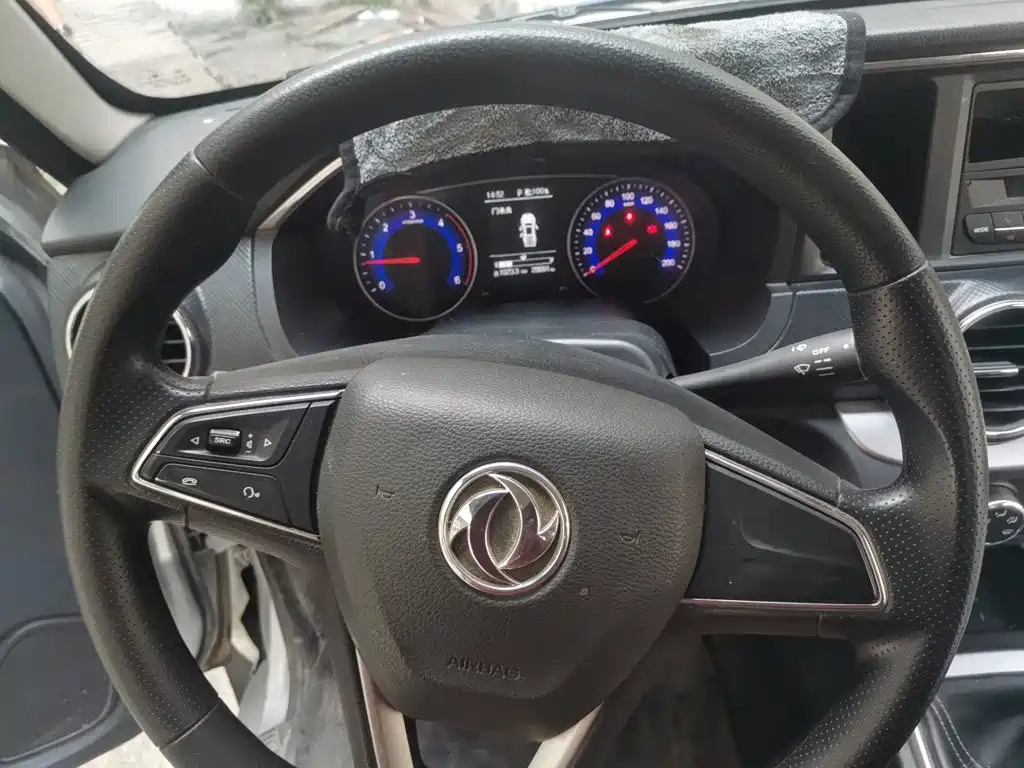 2024 Dongfeng Ruiqi