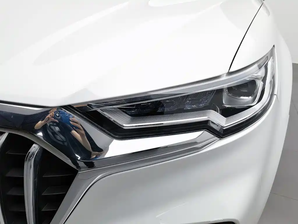 Фото 7 - Hongqi HS5
