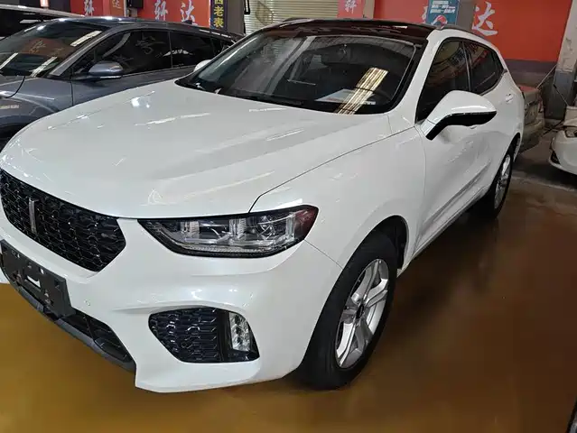 WEI PAI WEI BRAND VV5