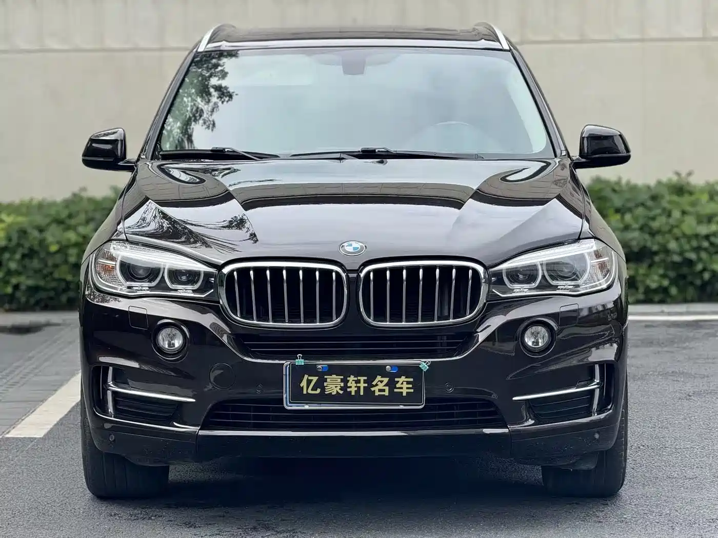 BMW X5 (Import) 2017 xDrive35i Elegance фото 2