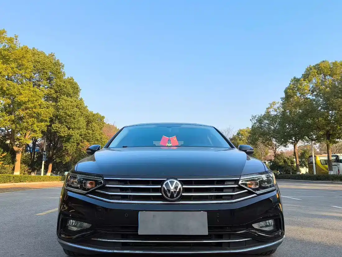 Volkswagen Magotan 2020 330TSI DSG Luxury фото 2