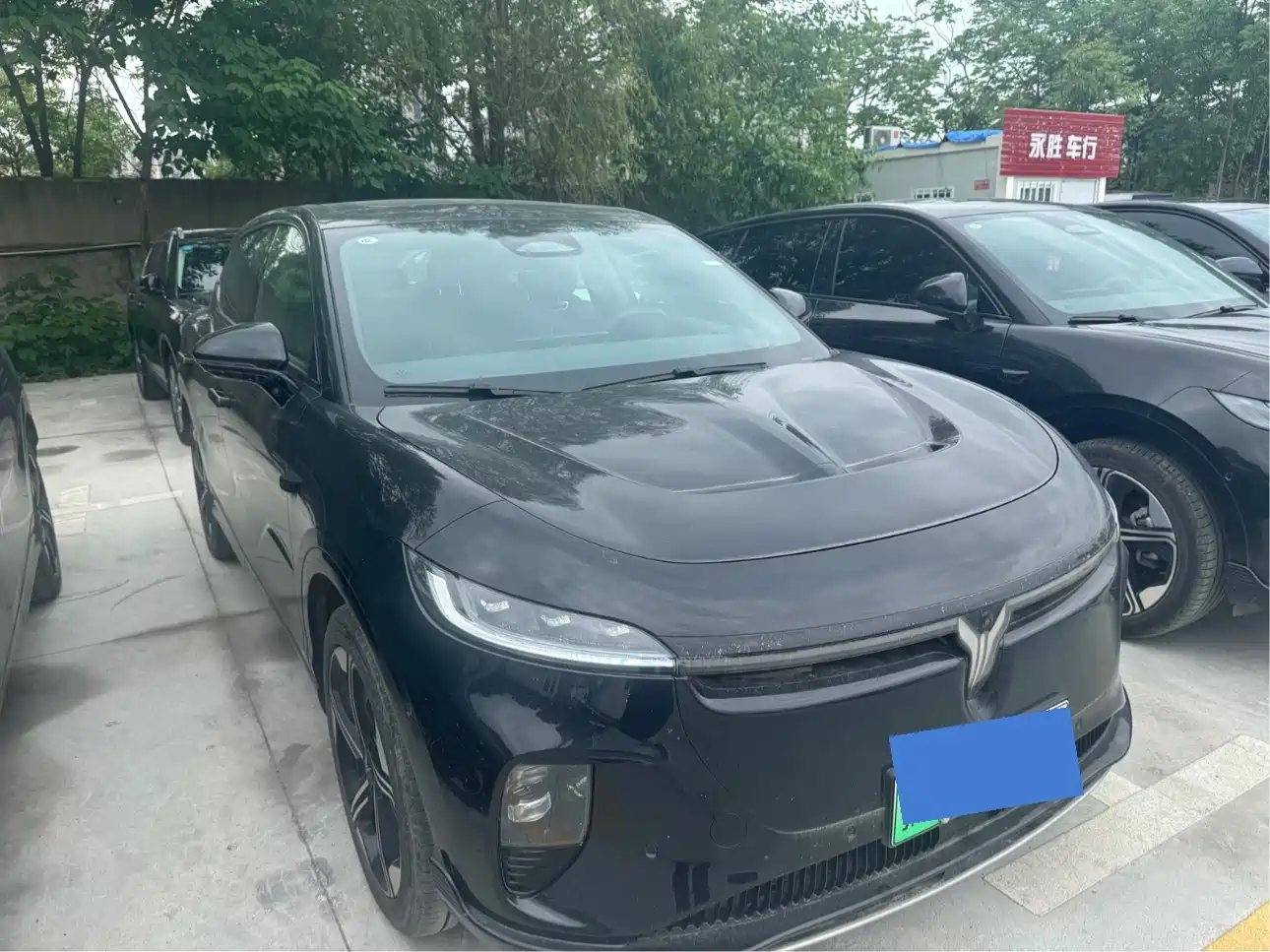 Voyah Auto Voyah Zhiyin 2024 Long Range Super Charging Edition фото 3