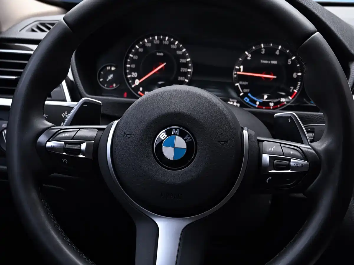 BMW 3 Series 2019 320Li M Sport Package фото 34