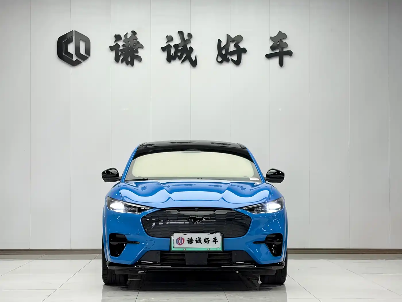 Ford Mustang Mach-E 2022 2021 GT