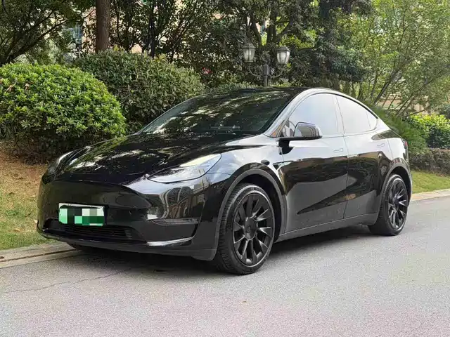 Tesla Model Y Увеличенный запас хода, полный привод, 3D7