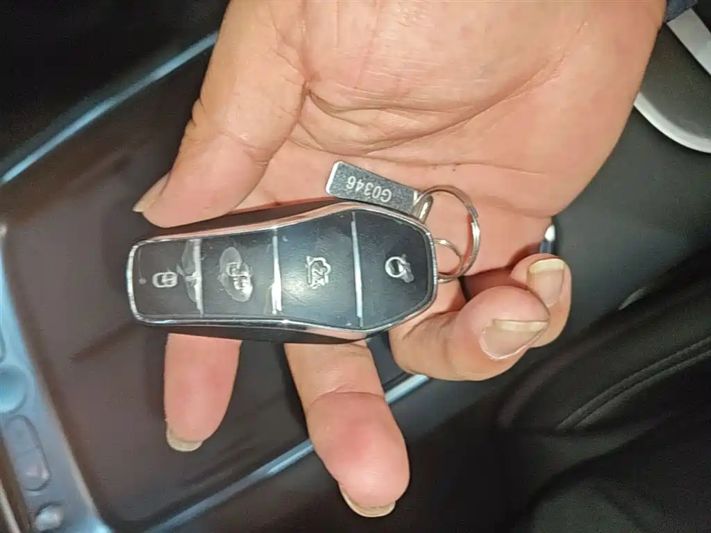 BYD Hai Shi 05 EV 2025 520KM Flagship Smart Navigation Edition фото 9