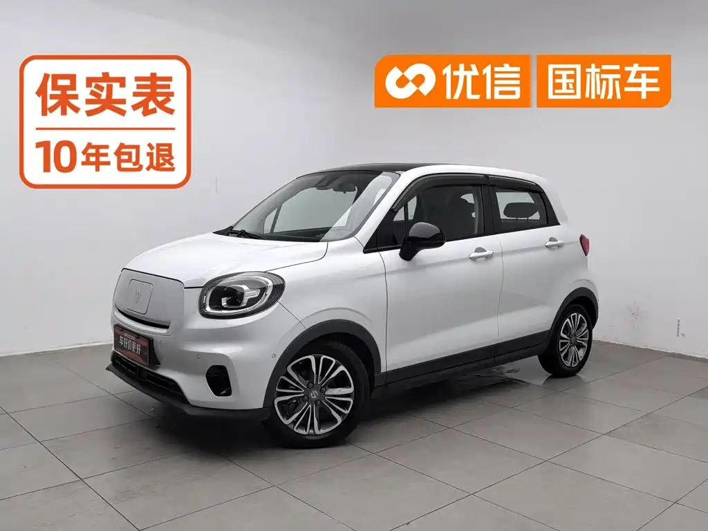 Leapmotor T03 2020 2020 400 Luxury Edition