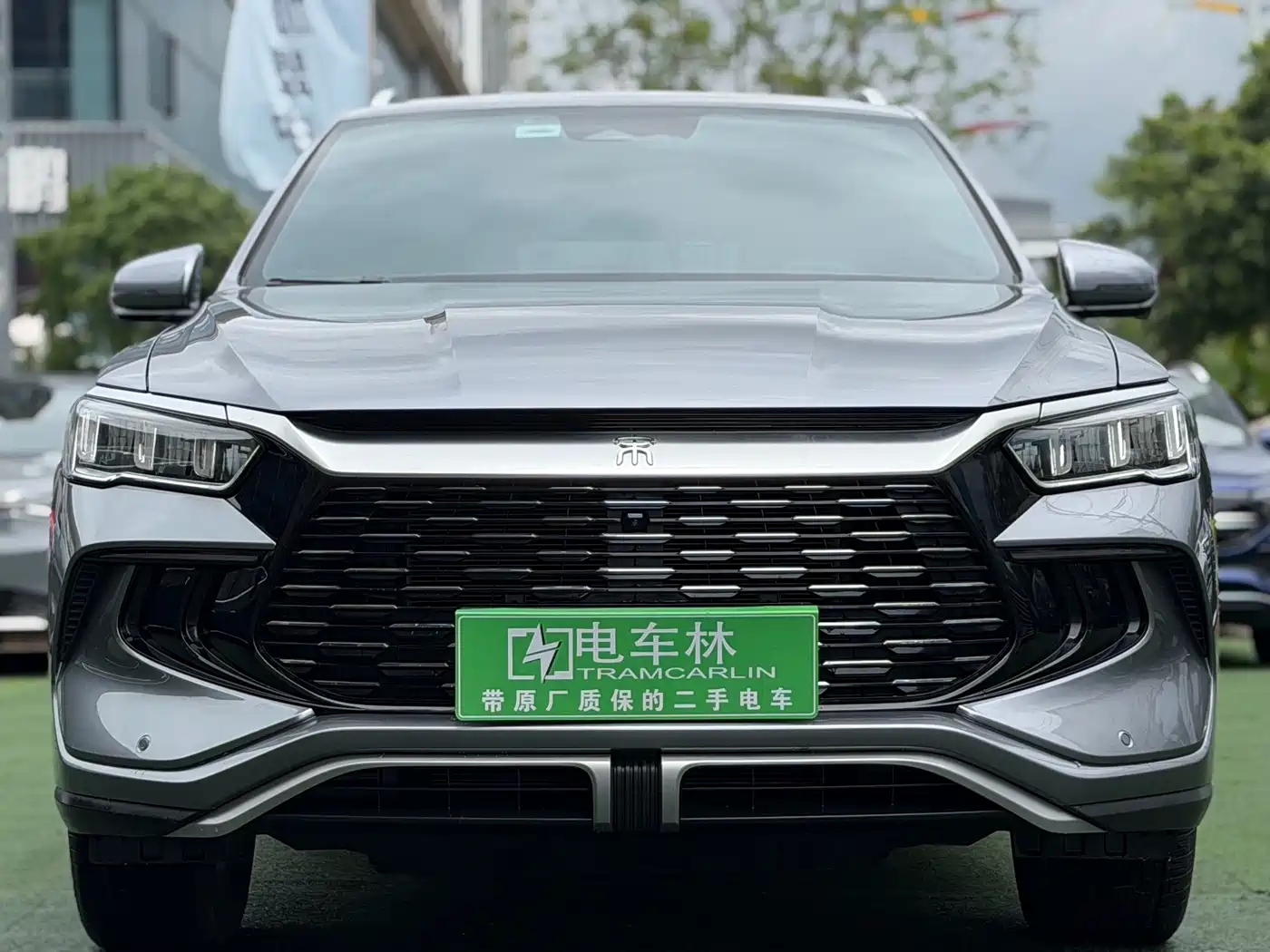 BYD Song Pro New Energy 2023 Champion Edition DM-i 110KM Surpassing Type фото 2