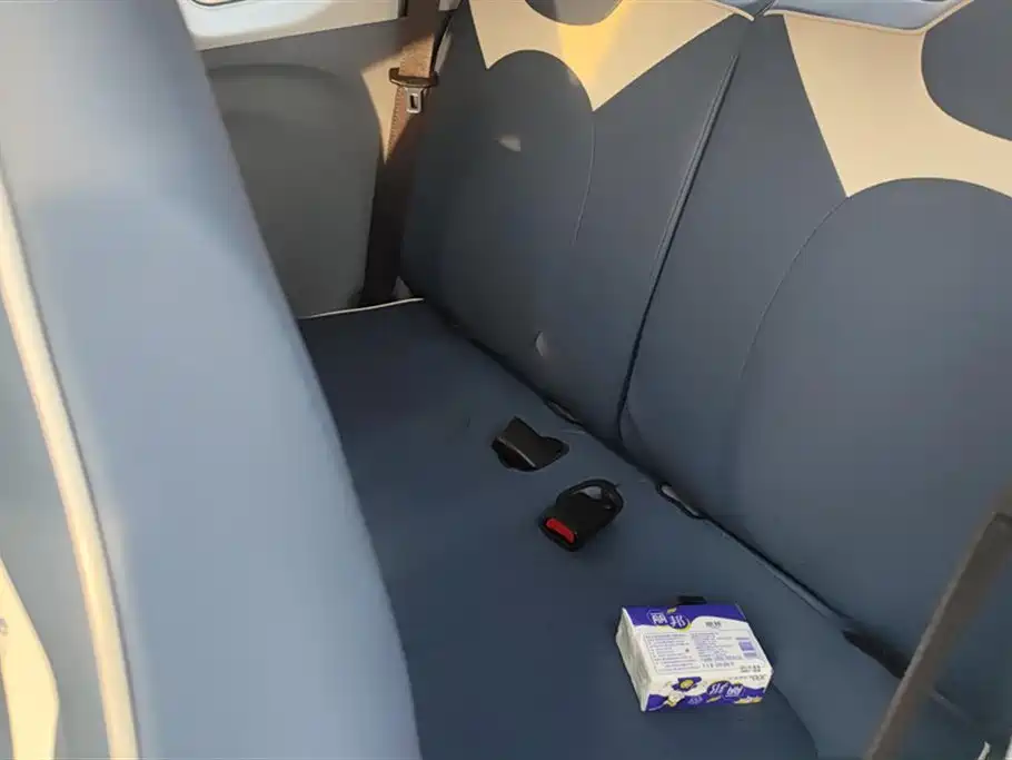 BESTUNE PENTIUM PONY