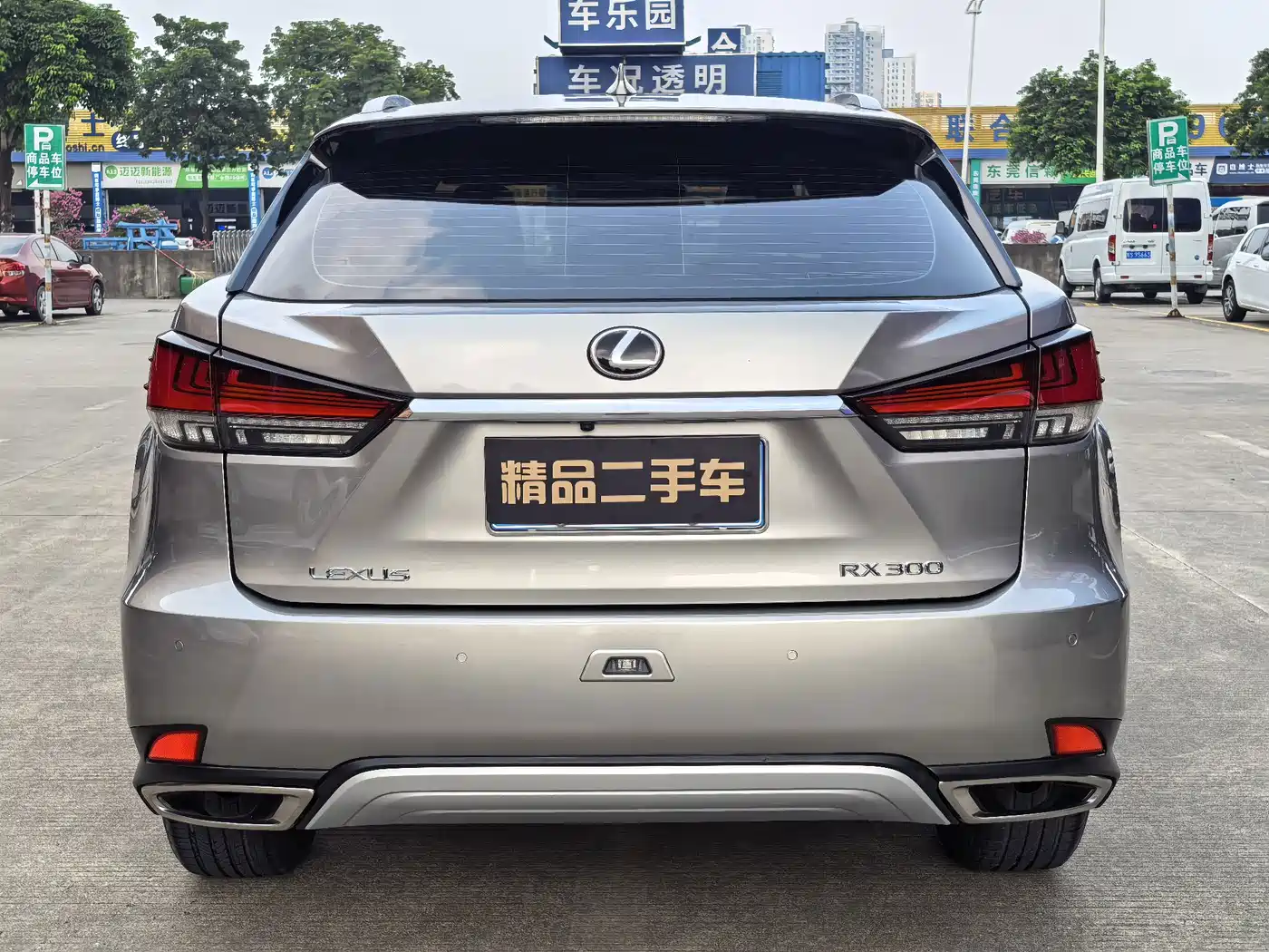 Фото 6 - Lexus RX