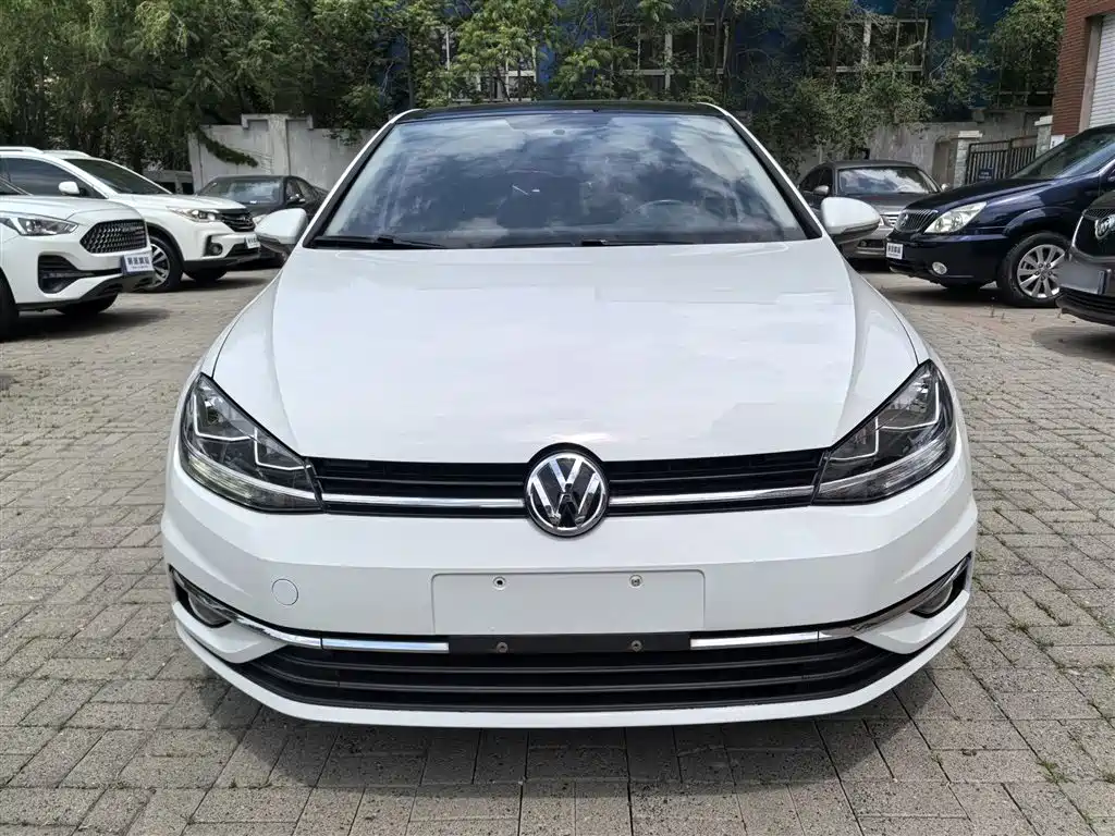 Volkswagen Golf 2019 200TSI DSG Comfort Progressive China VI фото 4