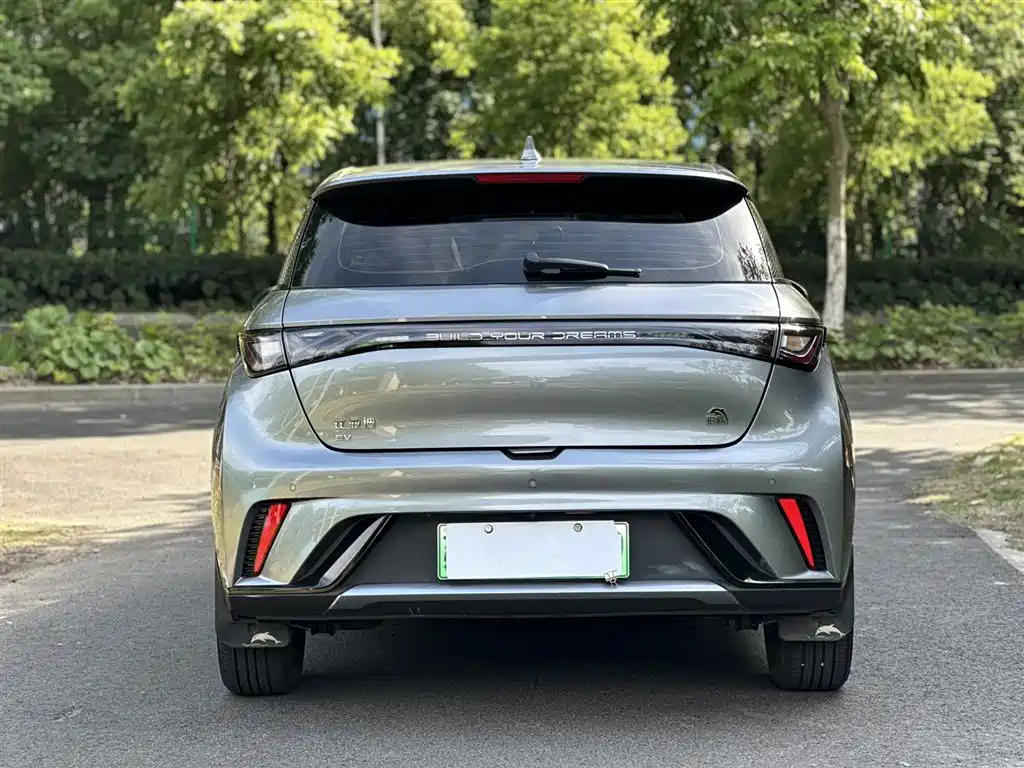 BYD Dolphin 2023 420km Fashion Edition фото 5