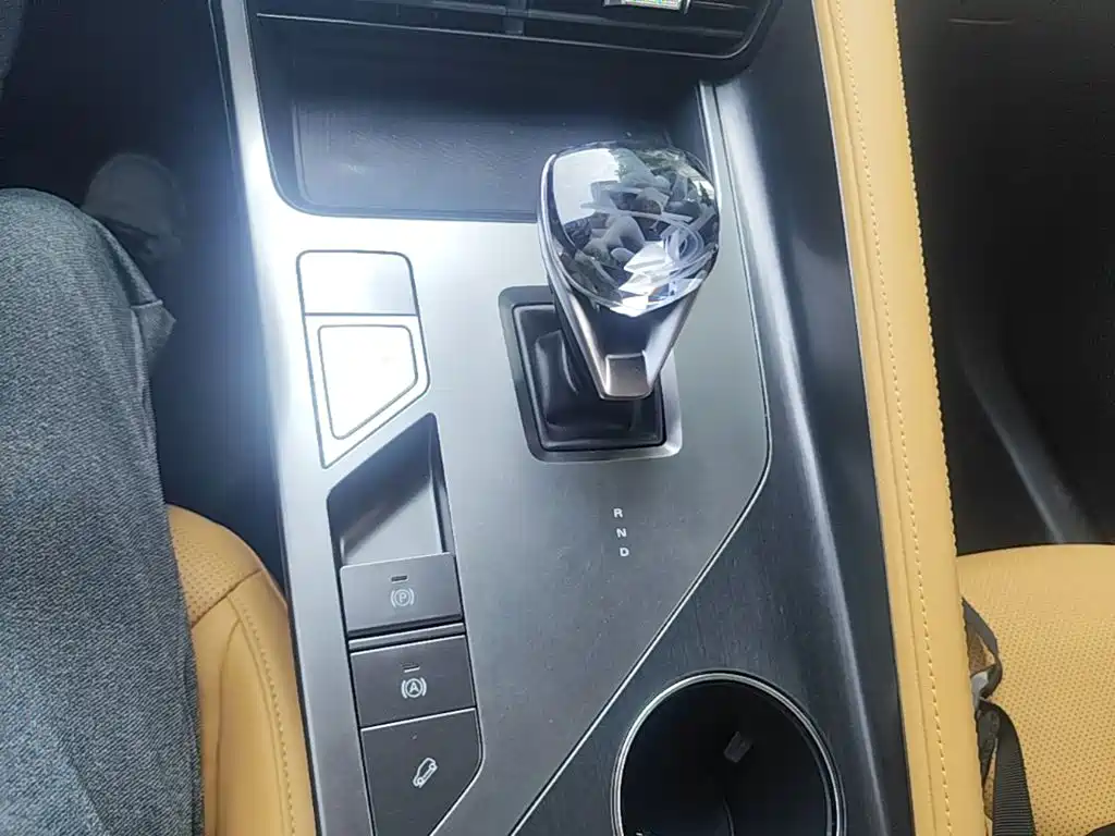 Roewe RX5 New Energy 2024 2023 eRX5 Super Hybrid Premium Edition