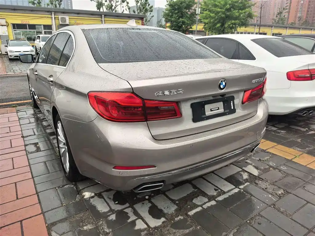 BMW 5 Series 2019 530Li Leading Luxury Package фото 8