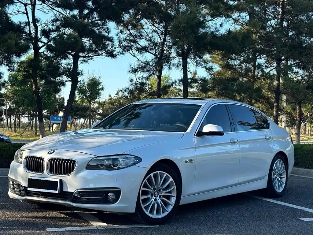 BMW 5 Series 2017 525Li Luxury Design Package