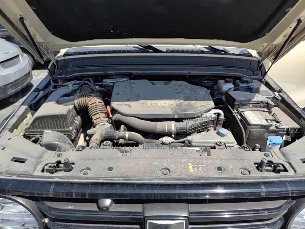 Tank 300 New Energy 2025 2025 Hi4-T