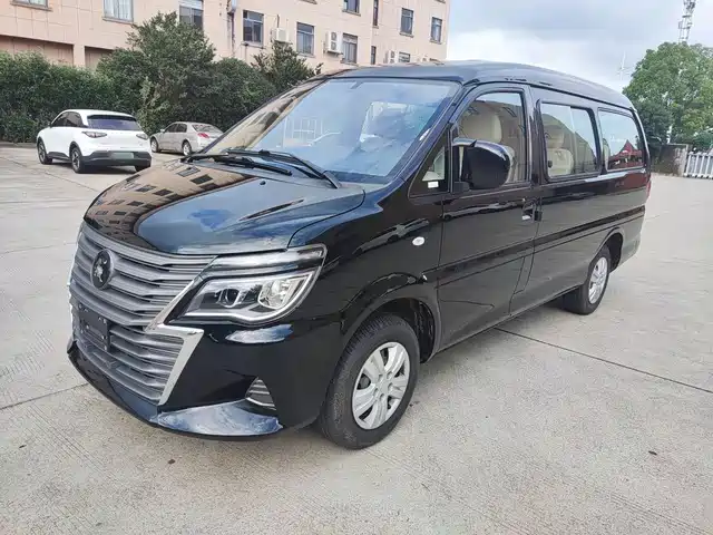 Dongfeng Fengxing Lingzhi 2024