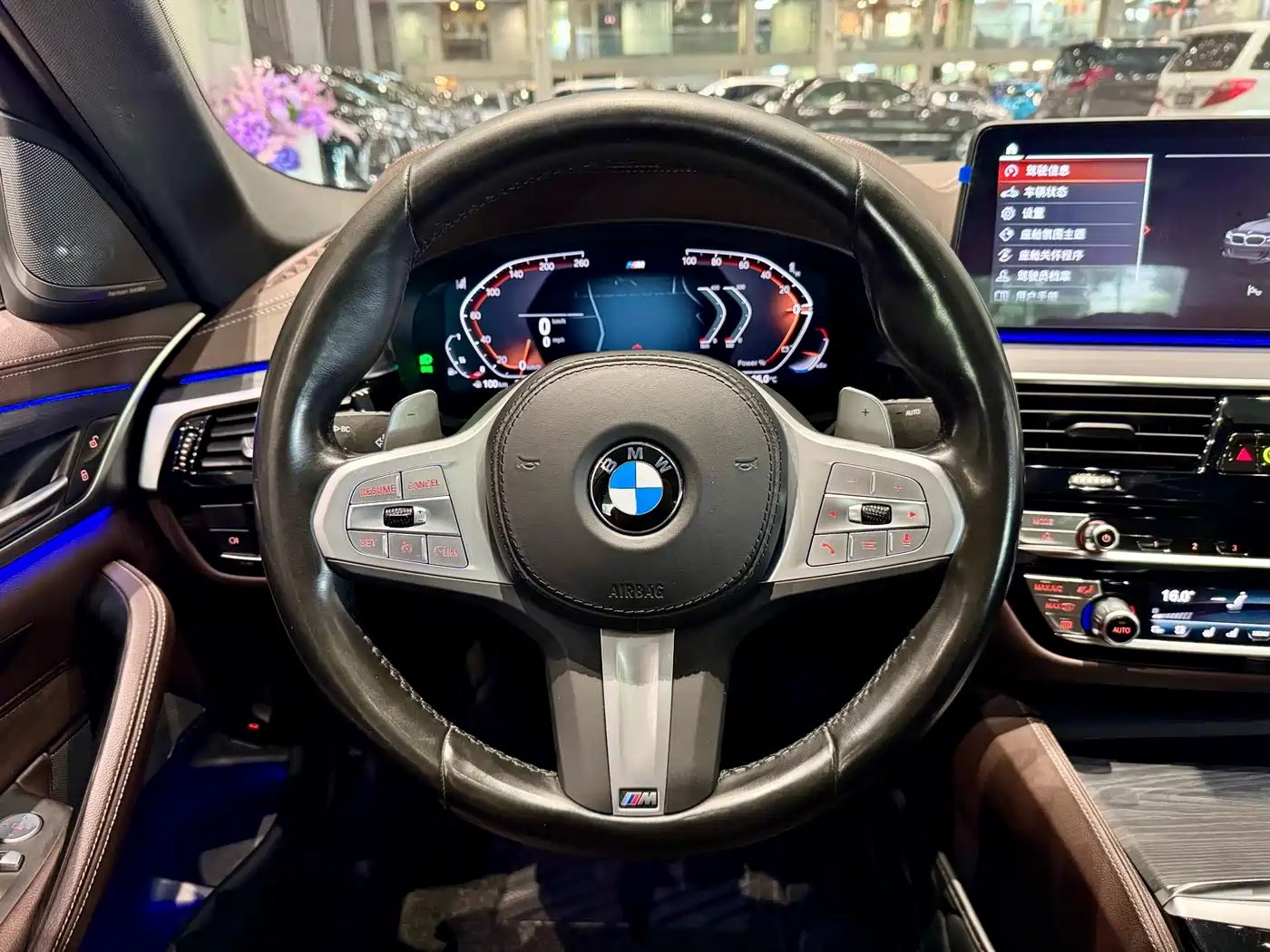 BMW 5 Series 2023 530Li Premium M Sport Package фото 8