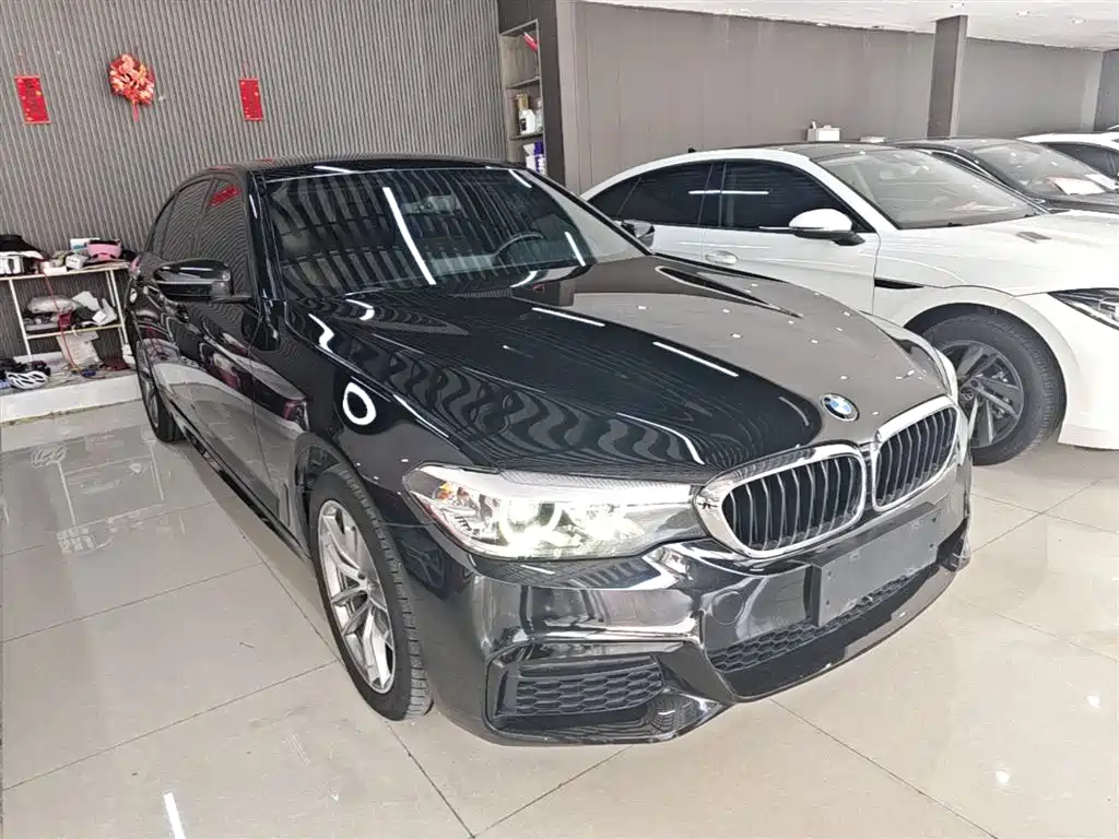 BMW 5 Series 2019 525Li M Sport Package фото 4