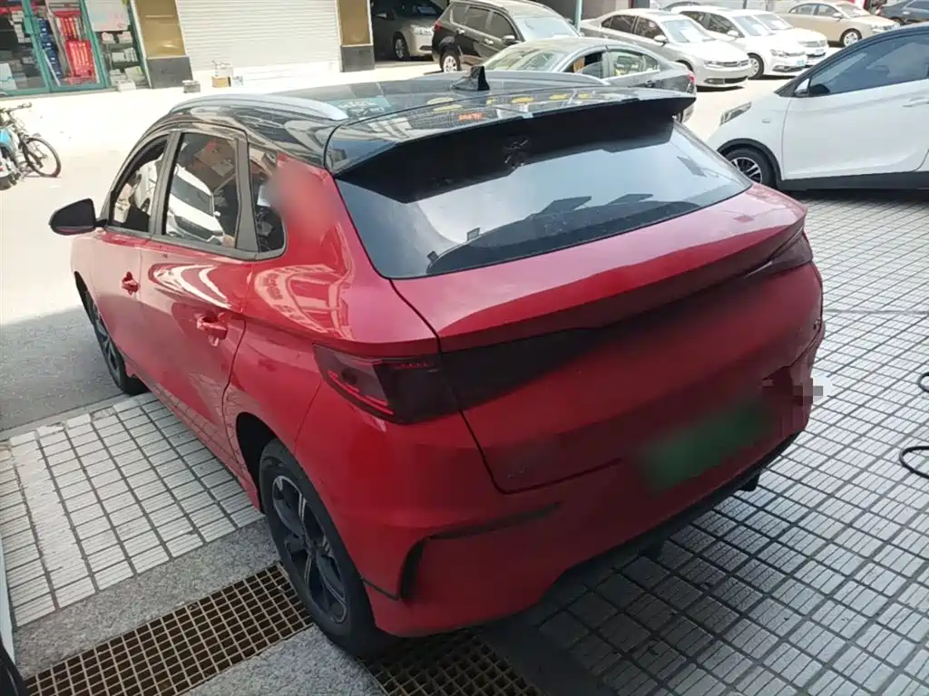 BYD e2 2020 Upgraded Long Range Luxury фото 5