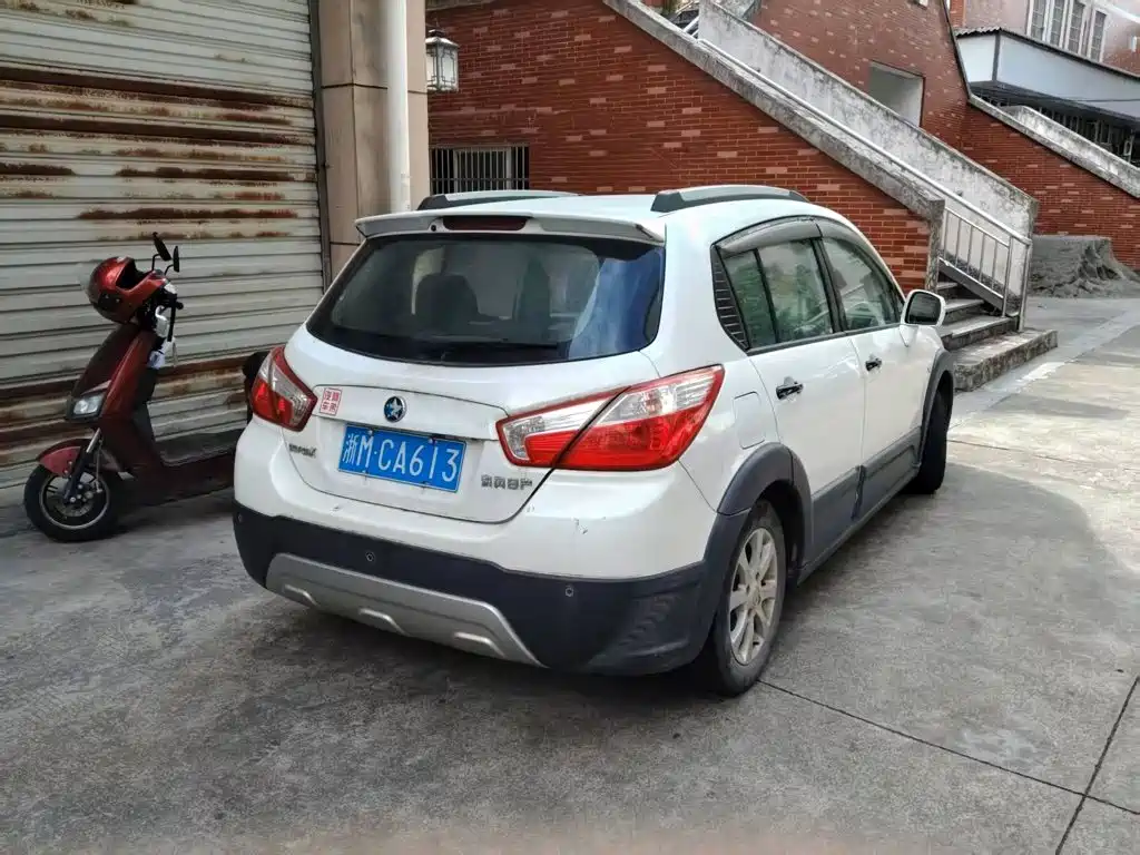 2015 Venucia R50X