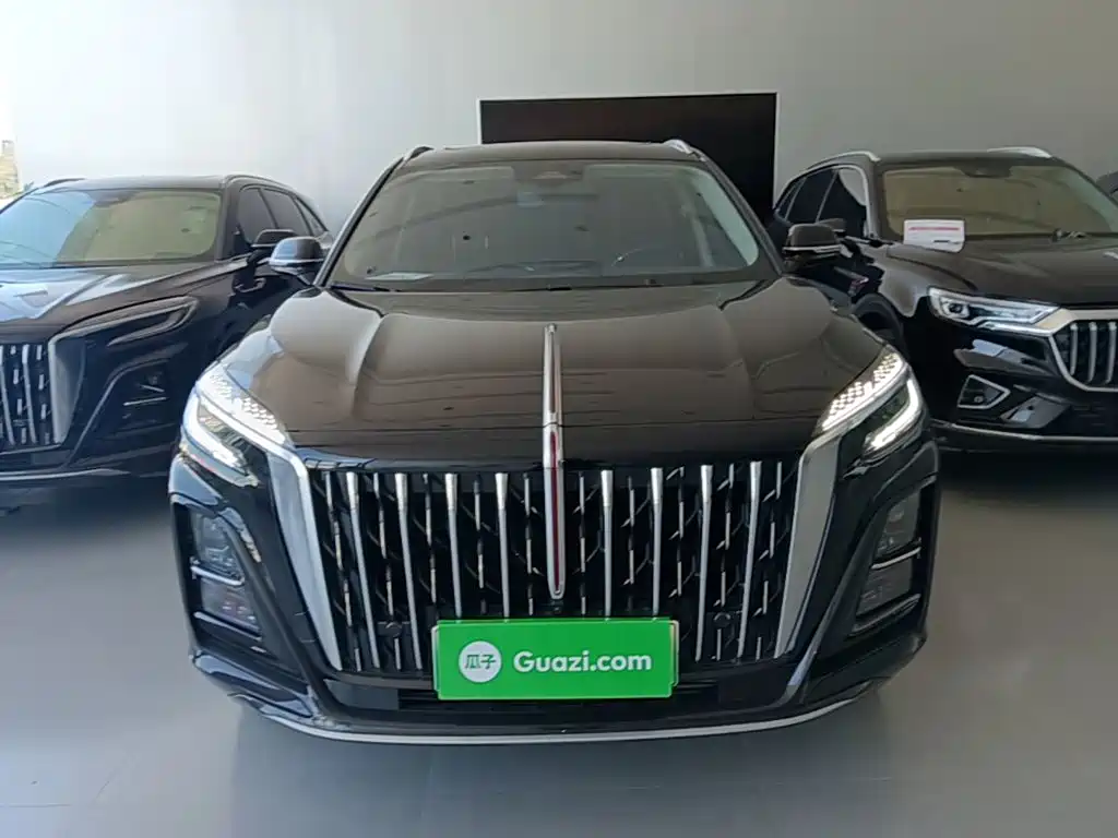 Hongqi HS3 PHEV 2025 2024 PHEV 115km Power Edition