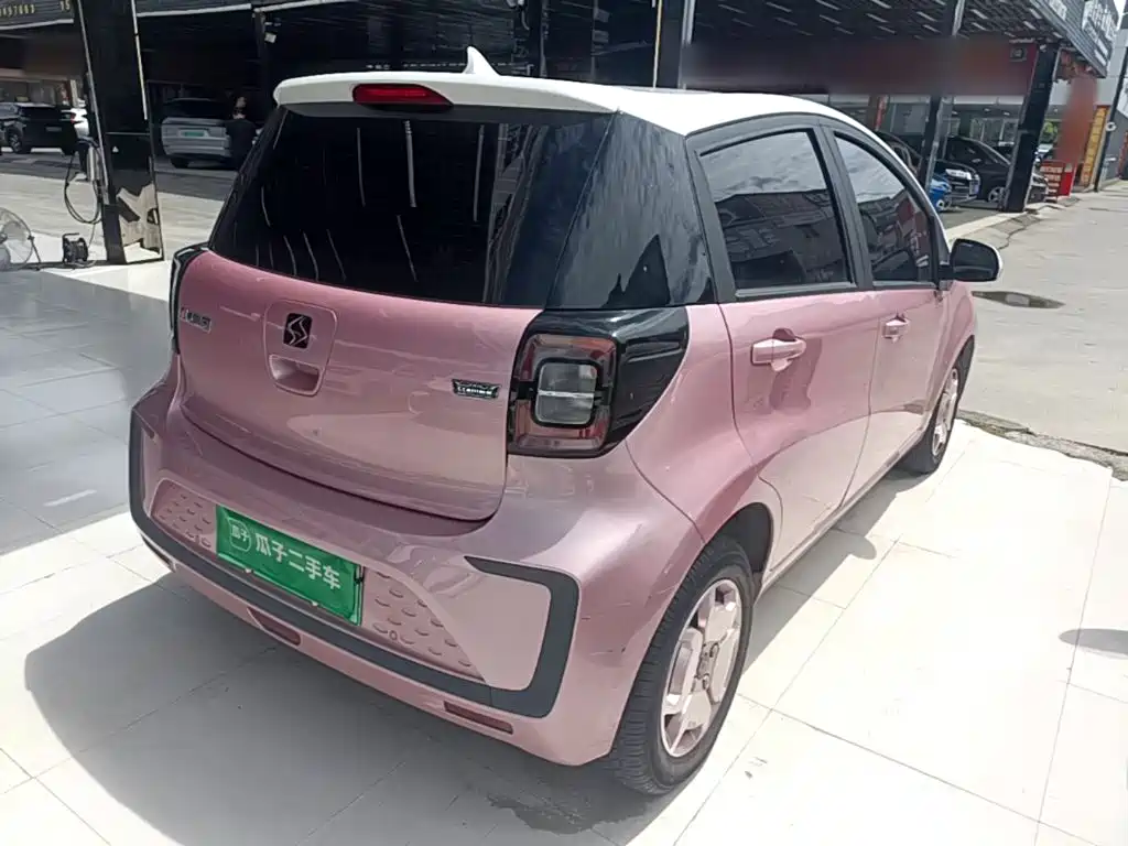 Sehol Flower Fairy 2023 2023 Anniversary Edition 301km Starlight 45kW