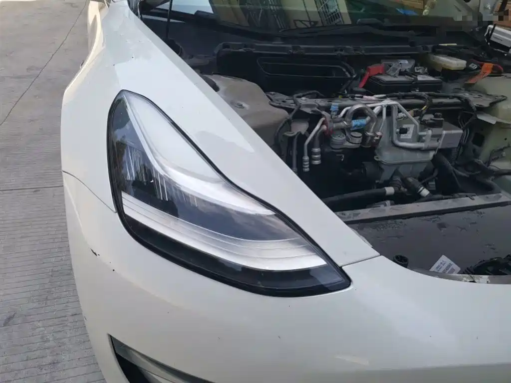 Tesla Model 3 (Import) 2019 2019 Long Range RWD Version