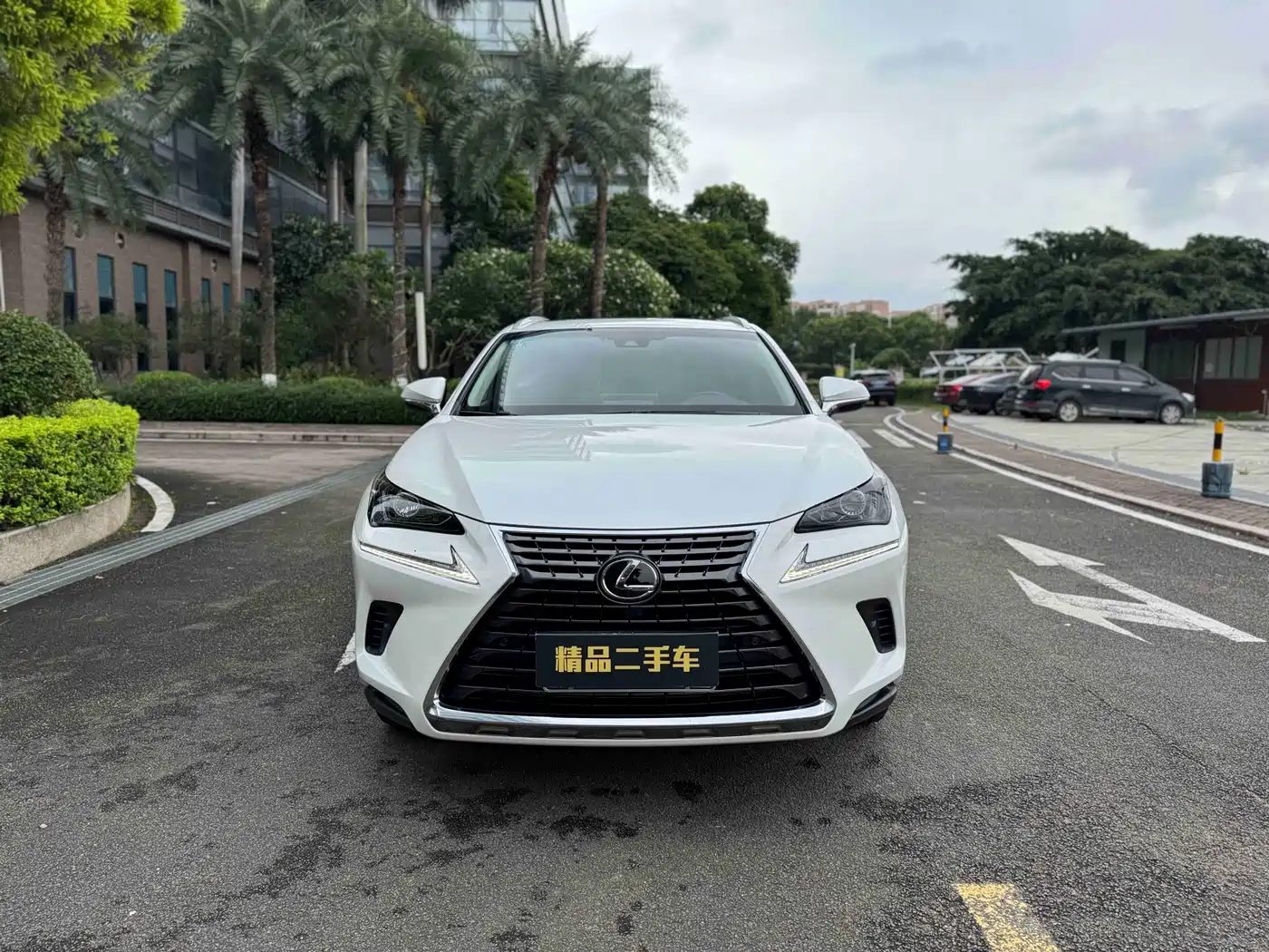 Lexus NX 2017 300 AWD Sharp Style Edition фото 2