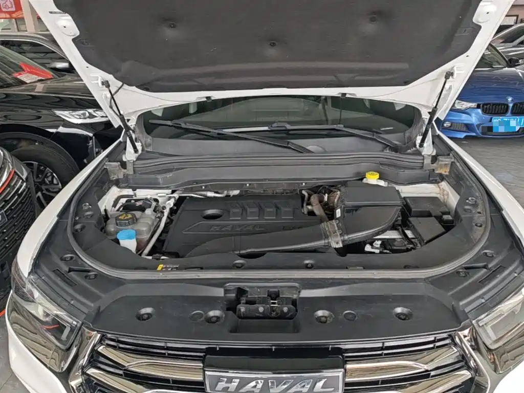 Haval H6 2021 Model National Trend Edition 1.5T Auto Champion фото 20