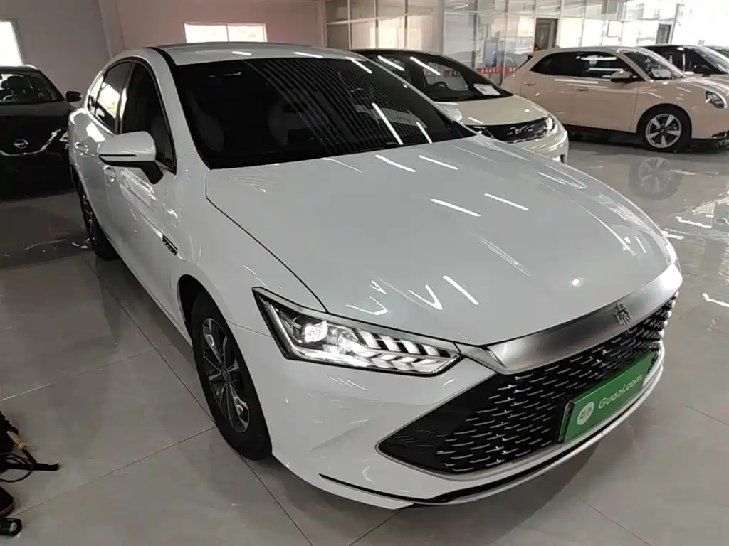 BYD Qin PLUS 2024 Glory Edition DM-i 55KM Leading фото 4