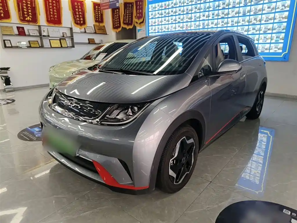 BYD Dolphin 2021 Model 405km Fashion Edition