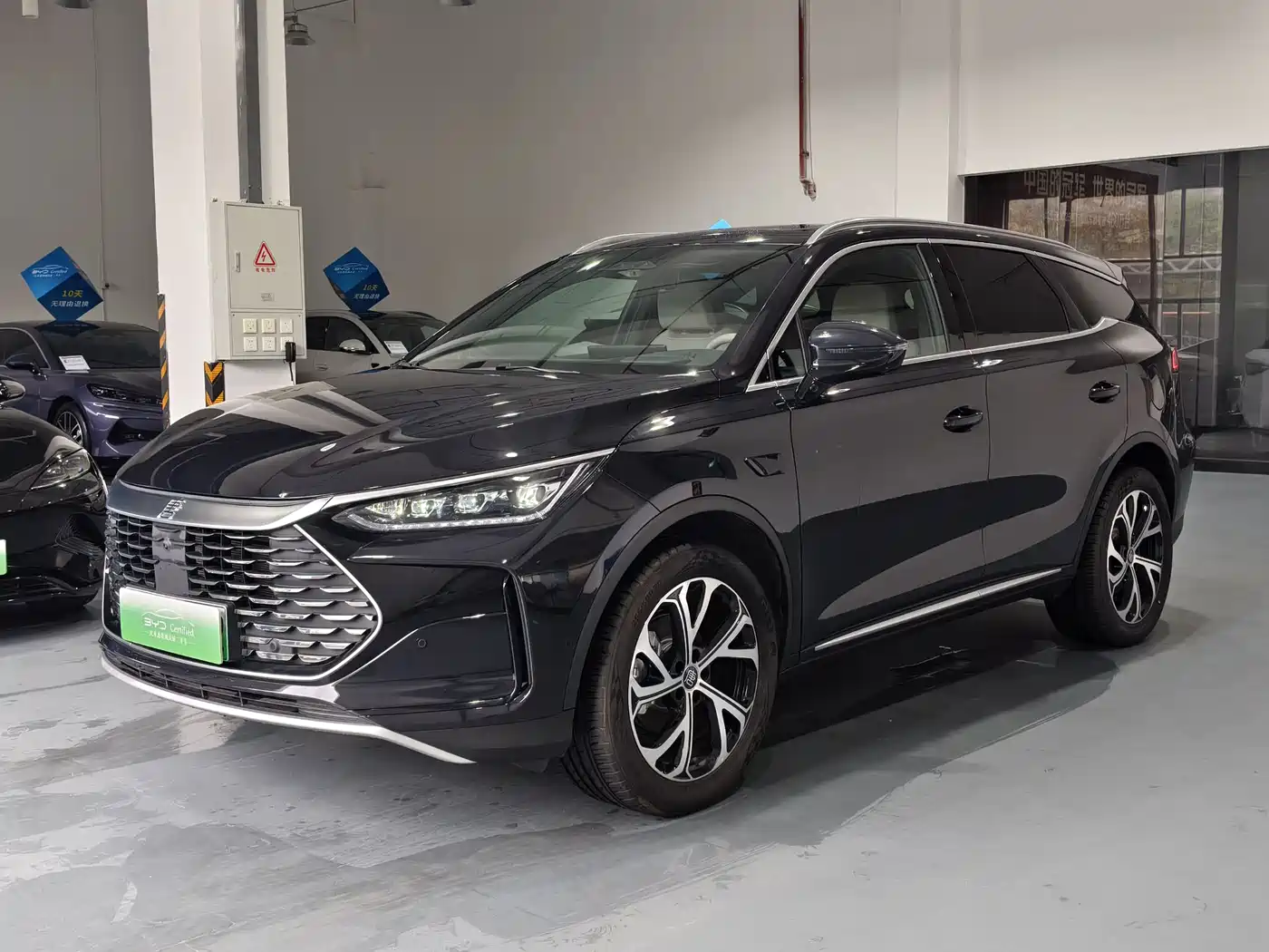 BYD Tang New Energy 2025 Smart Driving Edition DM-i 115KM Flagship