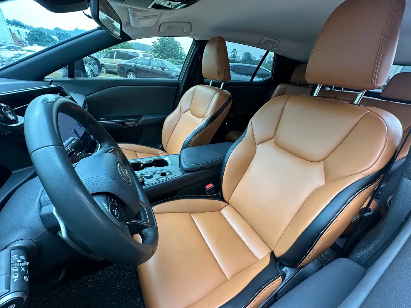 Lexus RZ 2023 450e 4WD Expedition Edition фото 9