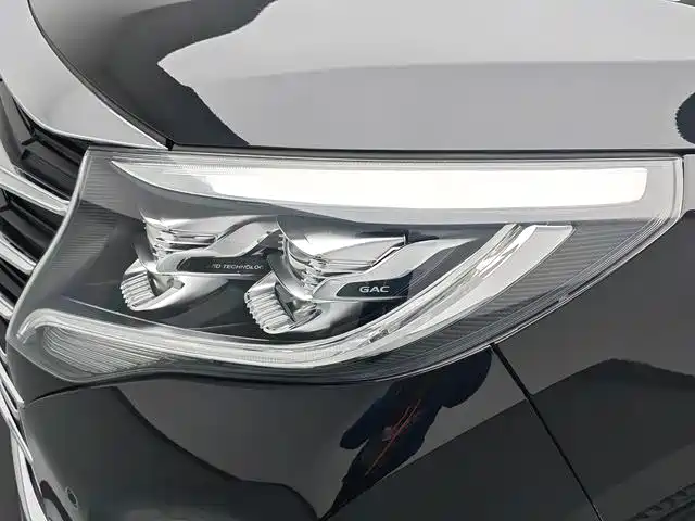 GAC Trumpchi Trumpchi M8 2021 Leading Show Series 390T Ultimate Edition фото 16