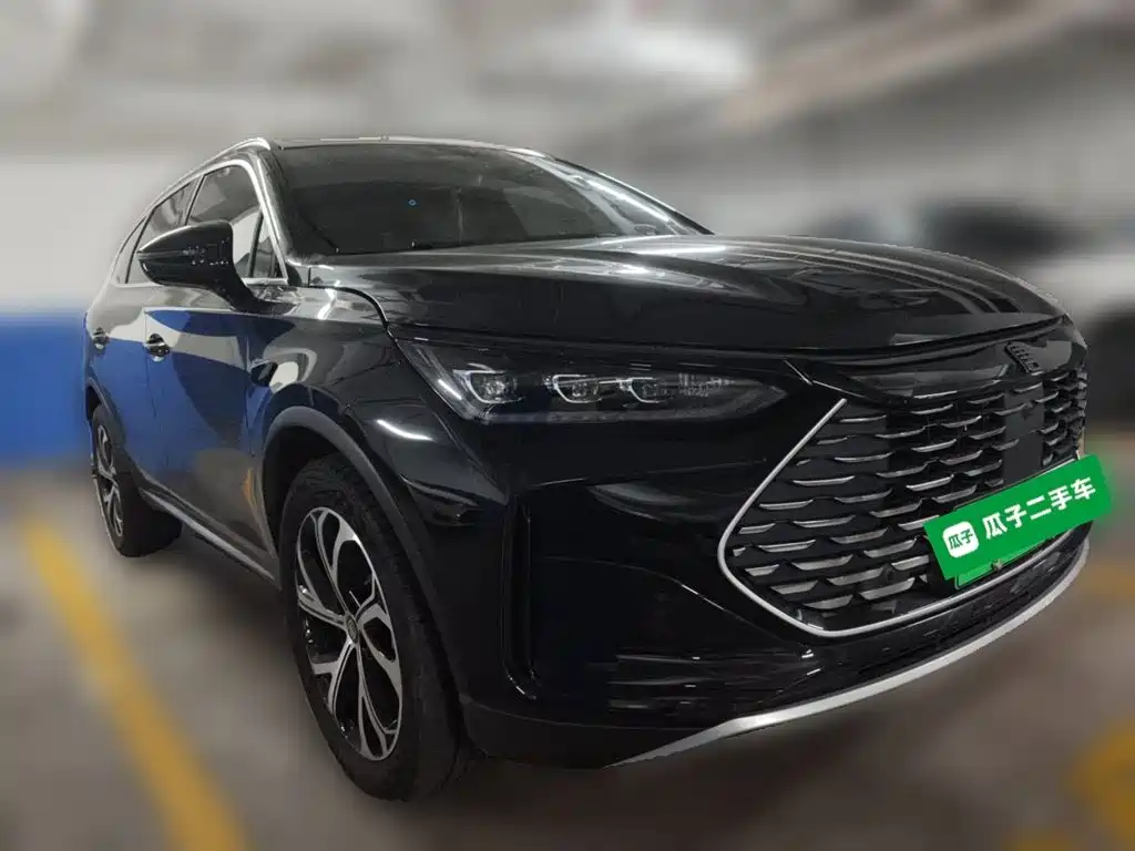 BYD Tang New Energy 2025 2025 Smart Driving Edition DM-i 115KM Premium