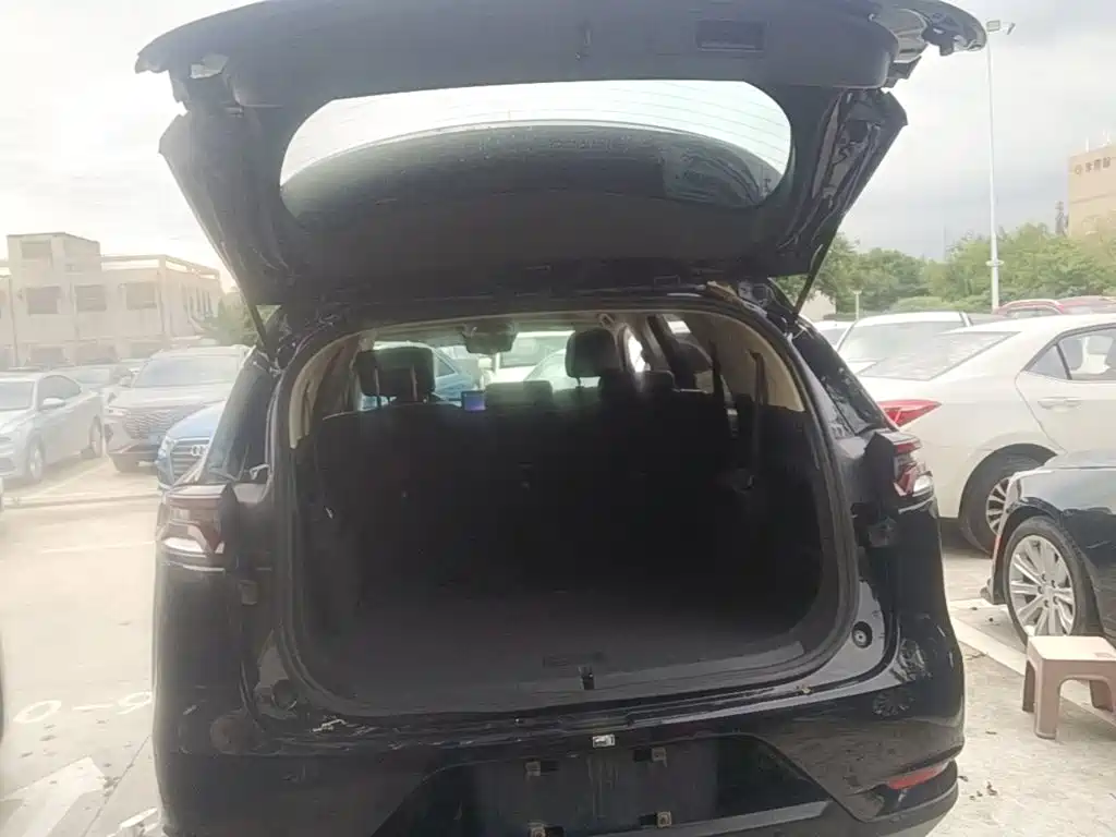 BYD Tang 2020 2019 2.0T Automatic Smart Connect Delight 7-seater China VI