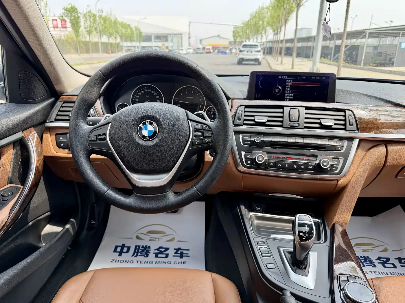 BMW 3 Series 2013 320Li Luxury Design Package фото 11