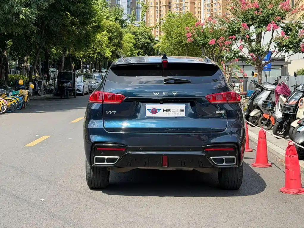 2021 WEY VV7
