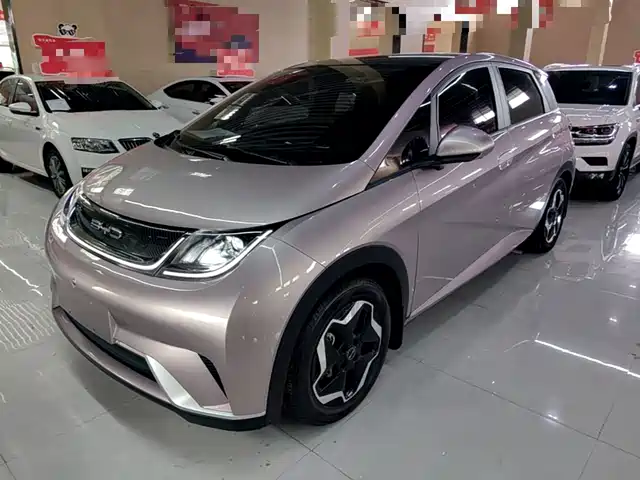 BYD Dolphin 405km, Стиль