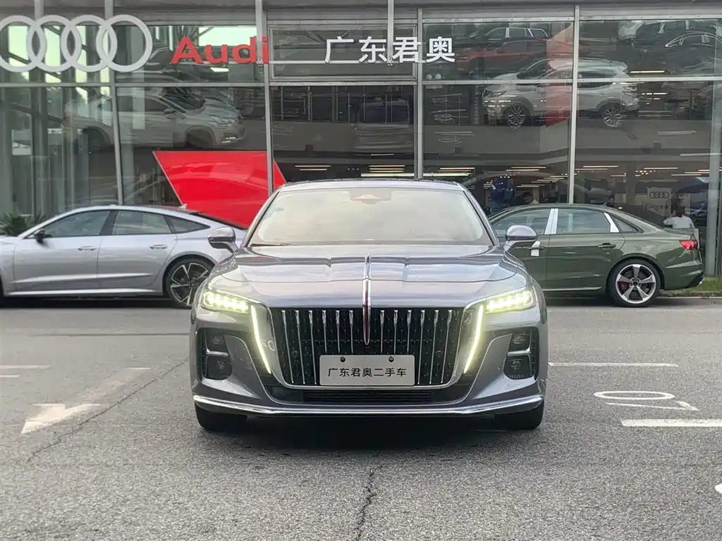 Hongqi H5 2024 2.0T Automatic Smart Connect Flag Smooth Edition фото 2