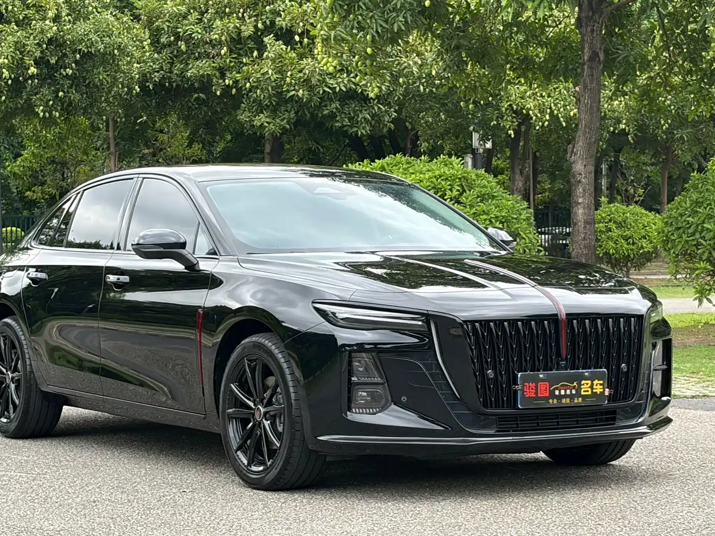 Hongqi H5 2025 2.0T Automatic Mystic Shadow 2 Million Edition фото 3