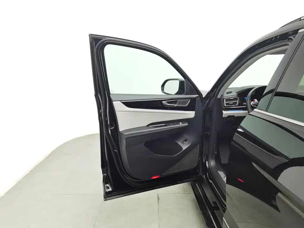 صورة 8 - Volkswagen Teramont