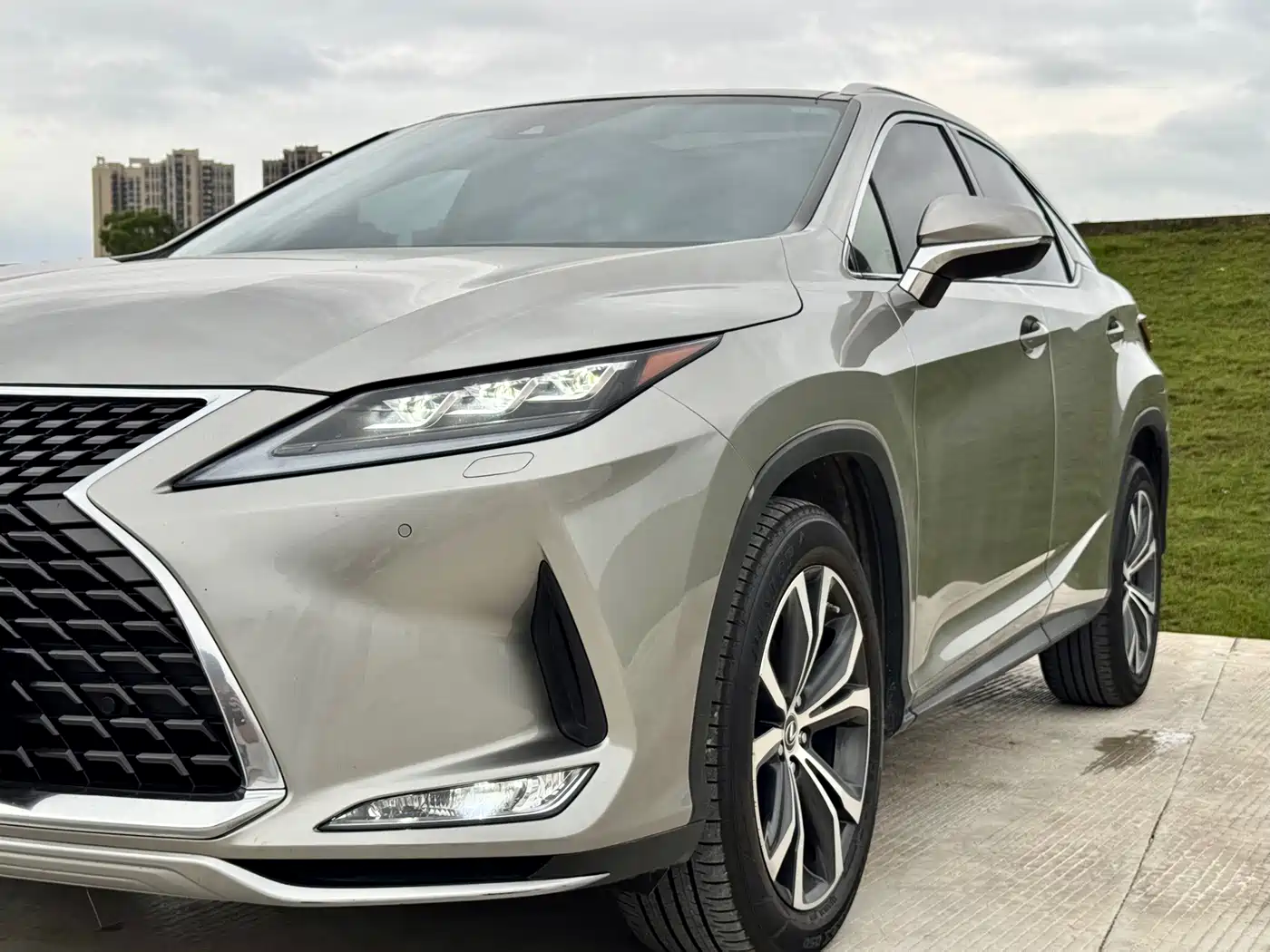 Lexus RX 2020 300 4WD Elegance Edition China VI фото 10