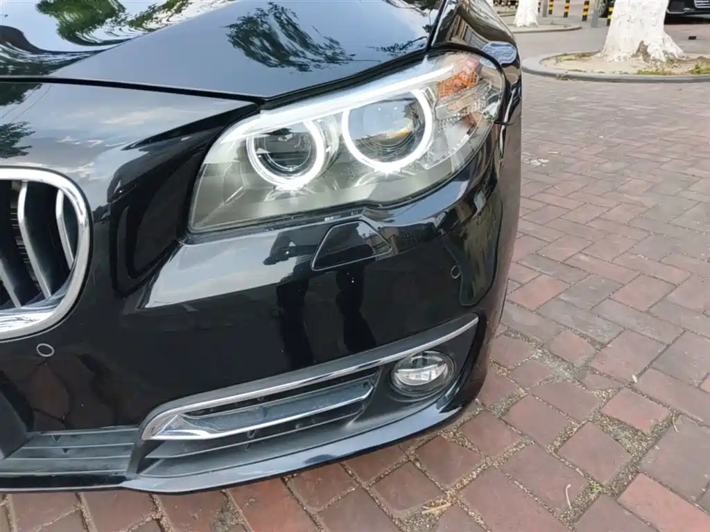 BMW 5 Series 2014 525Li Luxury Design Package фото 24