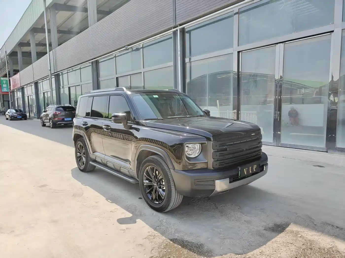 Haval Meng Long NEV 2024 Hi4 145 Cross-country Edition фото 3