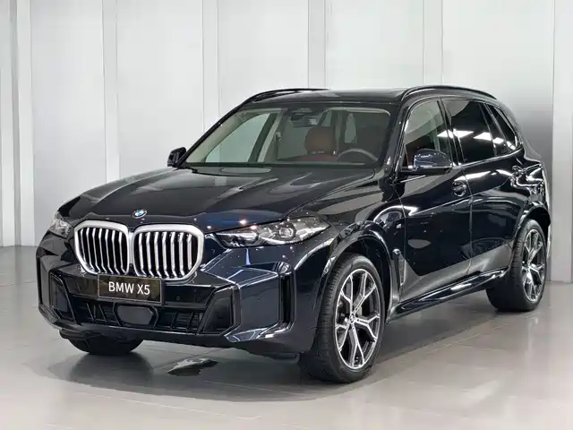 BMW X5 xDrive 30Li, Престиж, M Чёрный спорт-пакет
