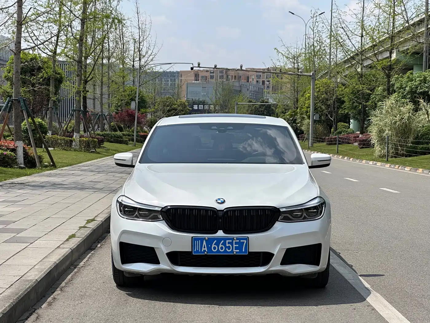 BMW 6 Series GT 2019 630i M Sport Package фото 2