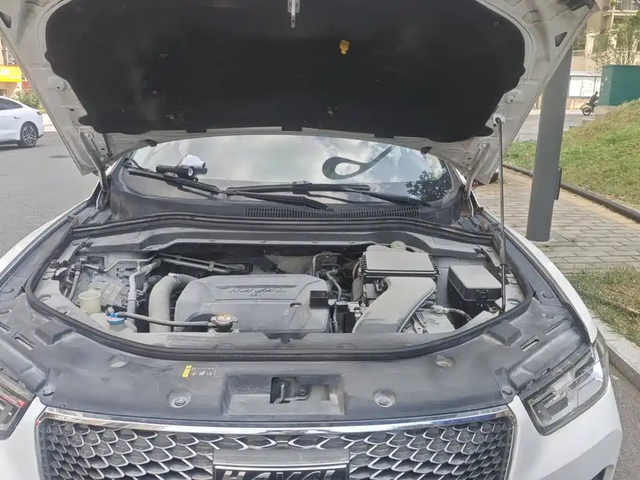 Haval H2s 2018 2018 Red Label 1.5T DCT Luxury Model