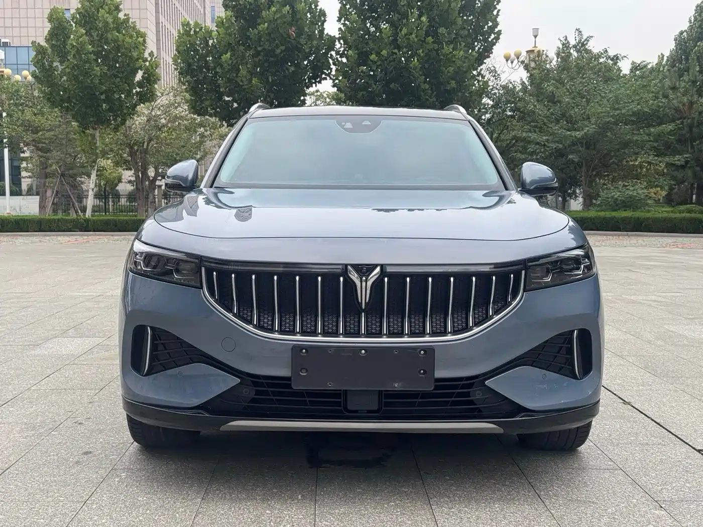 Voyah Auto VOYAH FREE 2022 2021 AWD Standard Pure Electric Exclusive Luxury Package